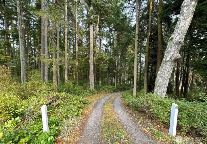 Private Driveway