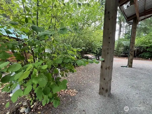 SIDE OF LOT