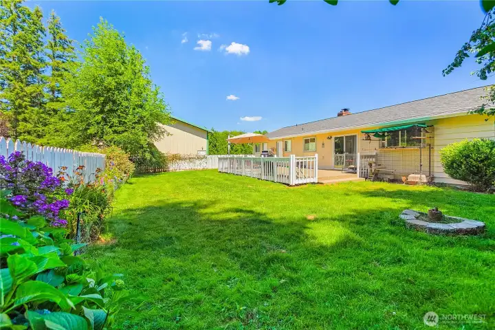 Back Yard and garden area