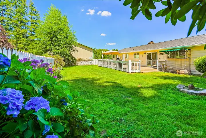 Fire pit in back yard
