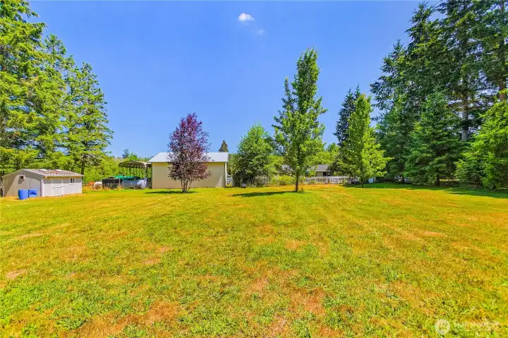 Back Yard behind shop and fence