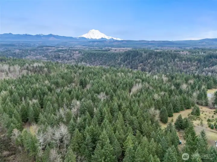 Isn't she so beautiful! This mountain view can be yours from your new home!