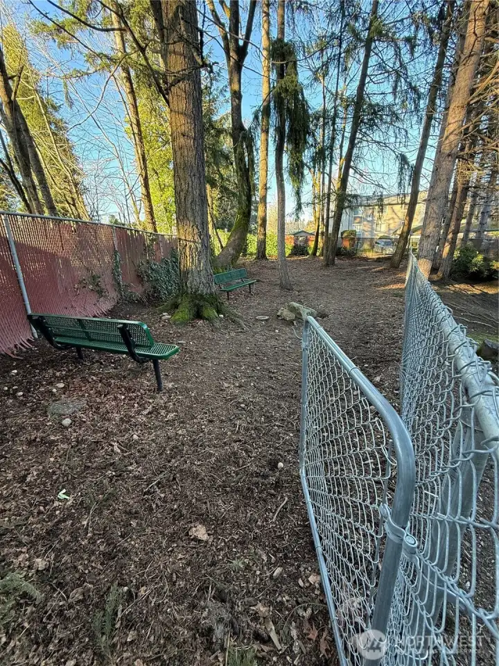 Dog Park (at the end of Bldge K)