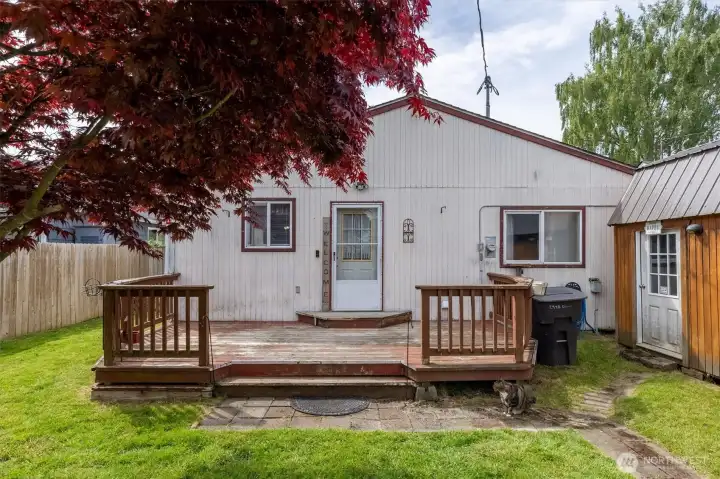 Back Yard and Decking