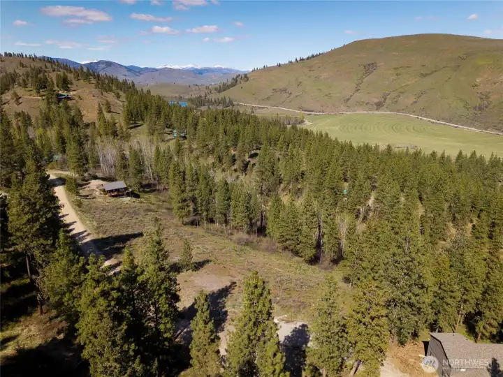 Looking North over the property.