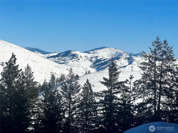 Winter scene taken from the property.