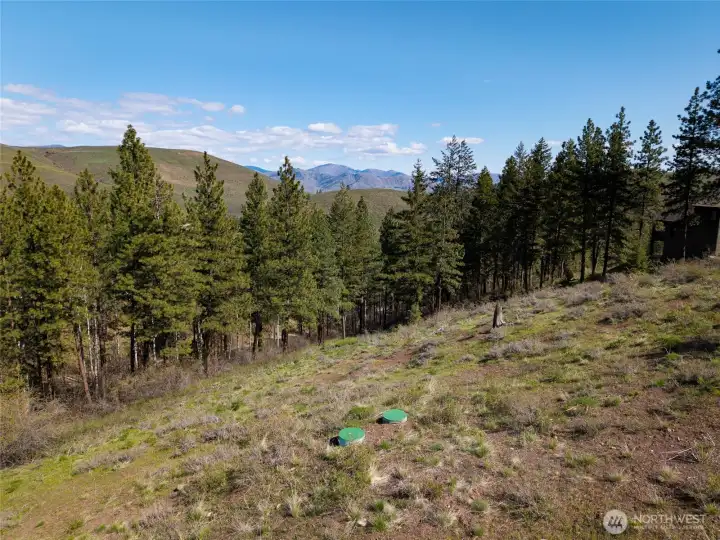 Looking NE over the property.