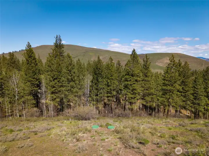 Looking toward Patterson Mountain.