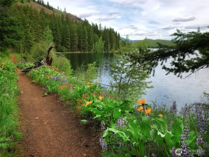 Patterson Lake Trail is readily accessible from the lower part of  Pine Forest and very close to the property.