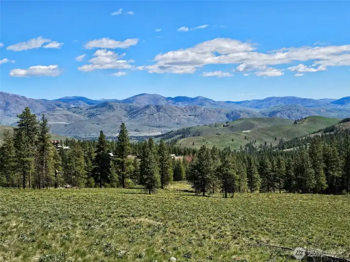 On the Meadowlark Trail, part of the Sun Mountain trail system. Trail can be accessed from Pine Forest!