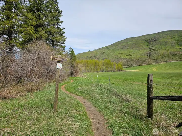 Trail that connects to Pine Forest takes you on a short hike to Patterson Lake.