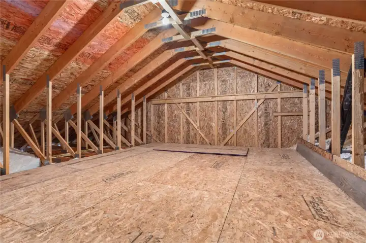 Attic/Storage