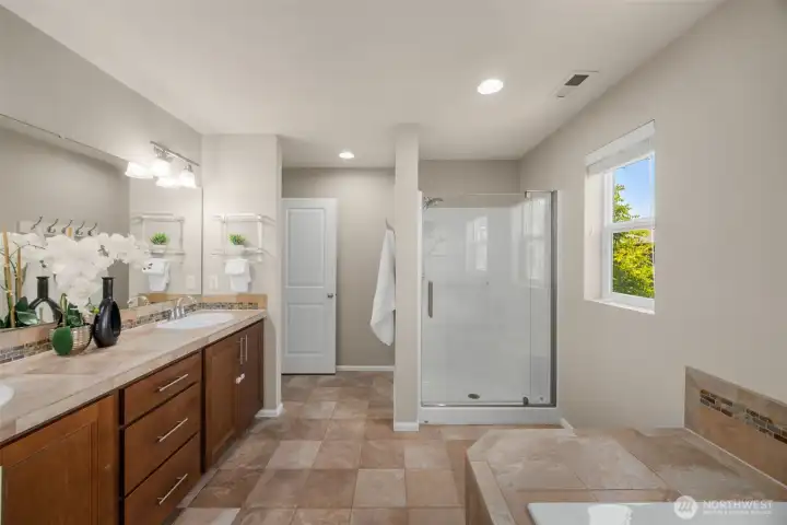 Gorgeous master bathroom