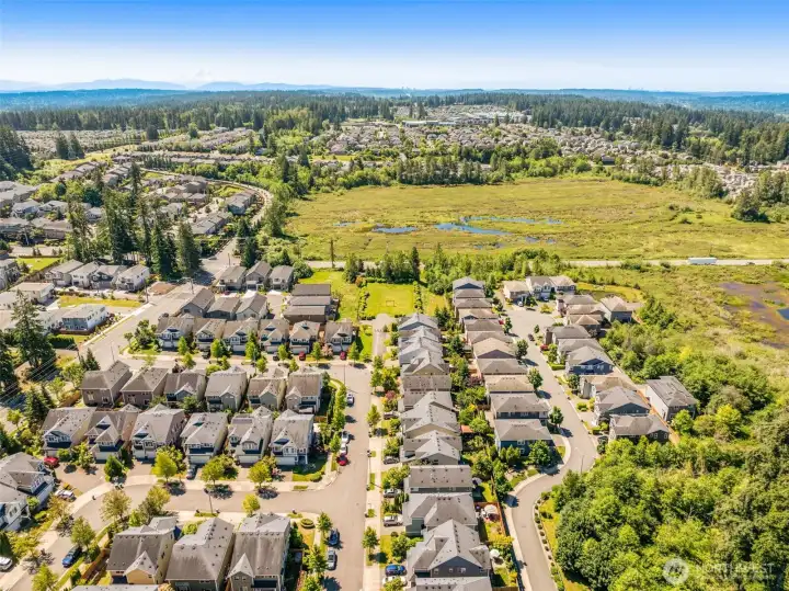 Walking distance to highly sought after Tambark creek elementary, two neighborhood community parks and sprawling Tambark creek park & ball fields.