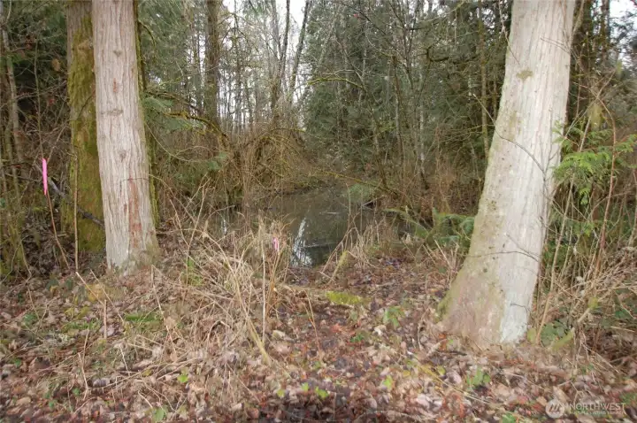 Picture of Pond, bottom 1/3 of property.