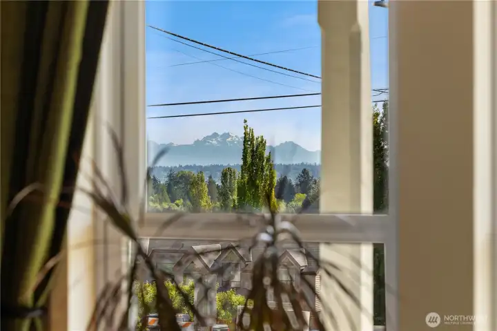 Views of the mountains from the living room.