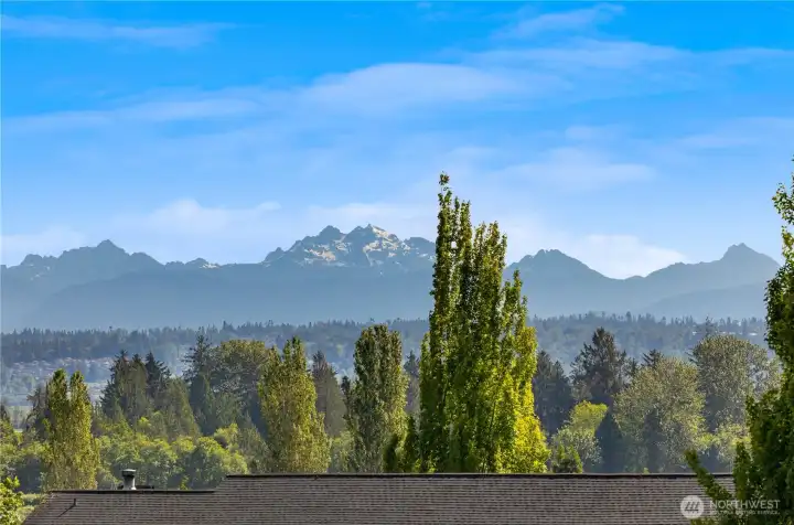 Views of the mountains from the primary bedroom.
