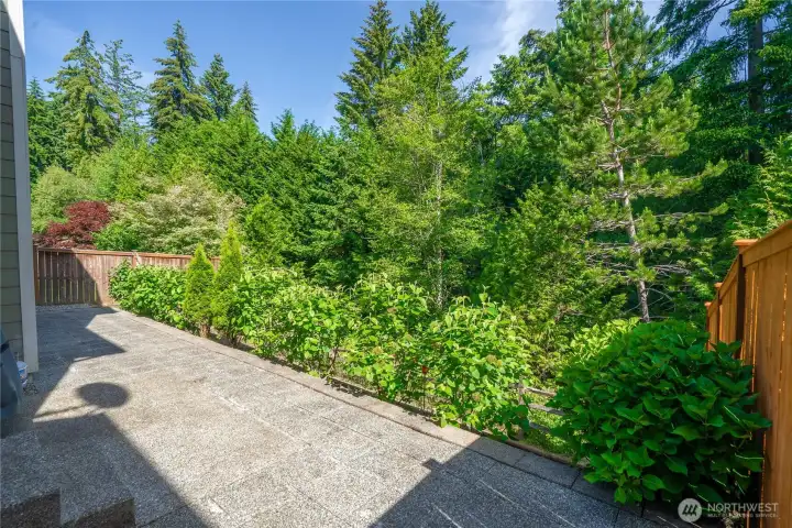 Alternate angle showcasing the patio and secluded backyard space