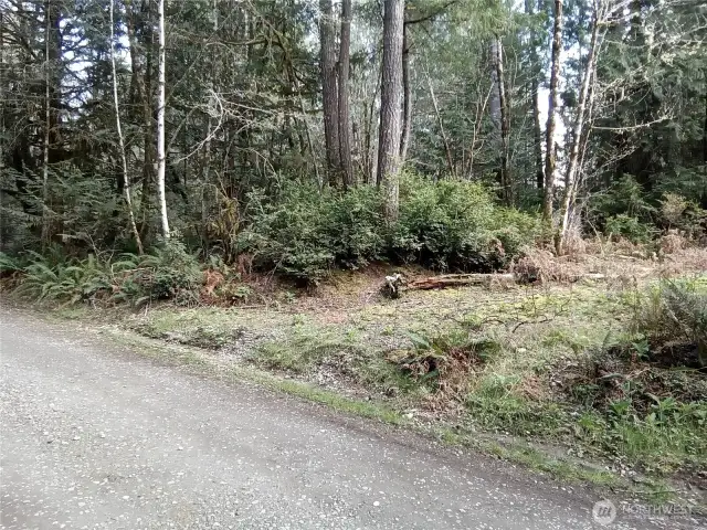 Cleared access area (off Frontier Rd) for easy access to view property
