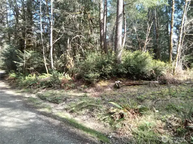 Cleared access area (off Frontier Rd) for easy access to view property