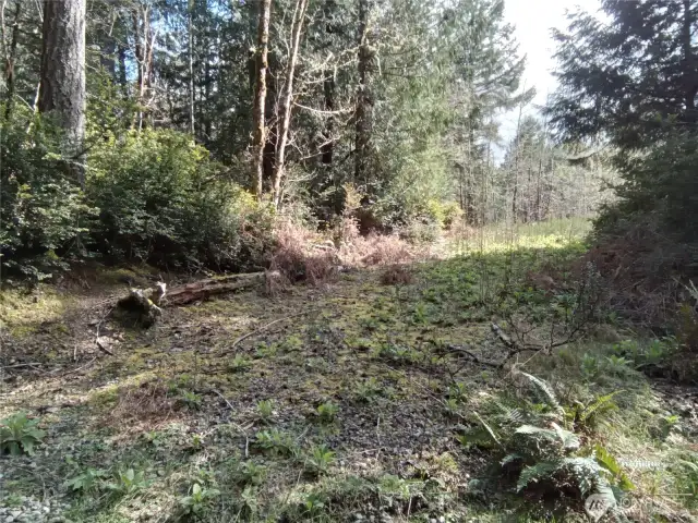 Cleared access area (off Frontier Rd) for easy access to view property
