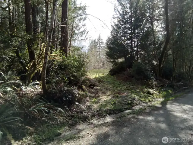 Cleared access area (off Frontier Rd) for easy access to view property