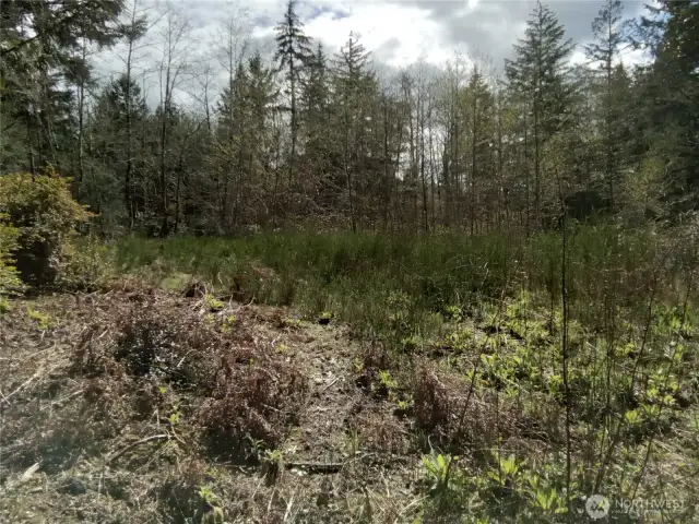 Cleared access area (off Frontier Rd) for easy access to view property