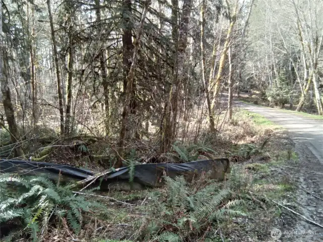 Wetland study complete. This is located on the E Frontier Rd side of the property