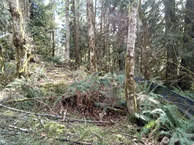 Wetland study complete. This is located on the E Frontier Rd side of the property