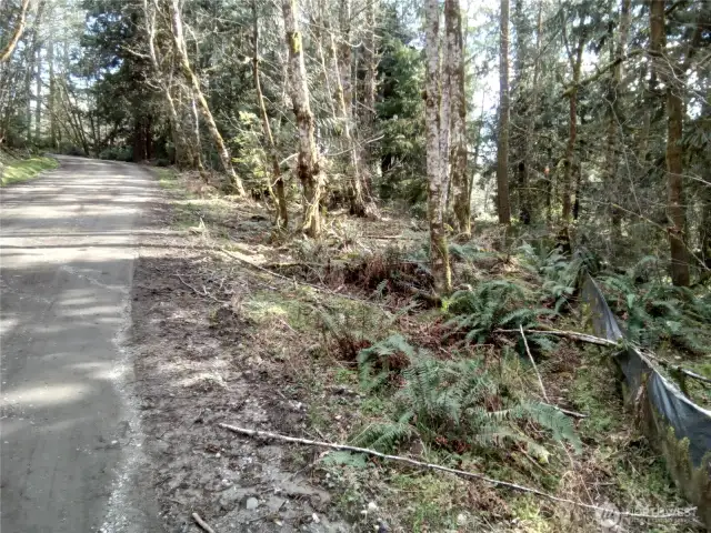 Wetland study complete. This is located on the E Frontier Rd side of the property