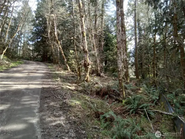 View from E Frontier Rd looking back up to E Murray Rd N