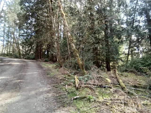 View from E Frontier Rd looking back up to E Murray Rd N