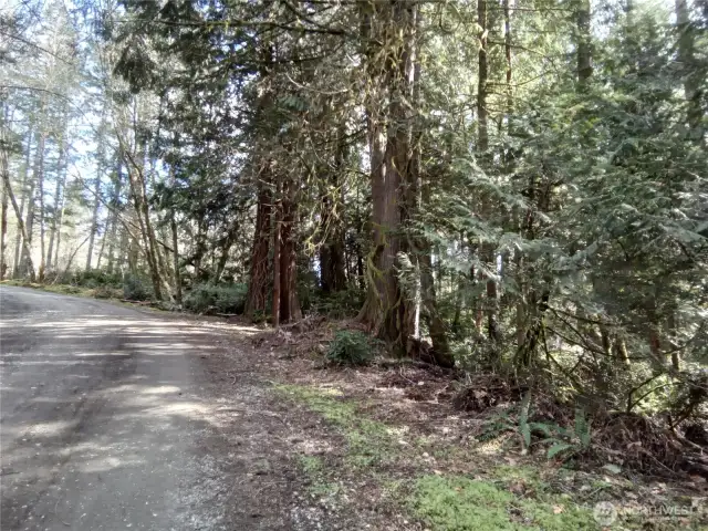 View from E Frontier Rd looking back up to E Murray Rd N