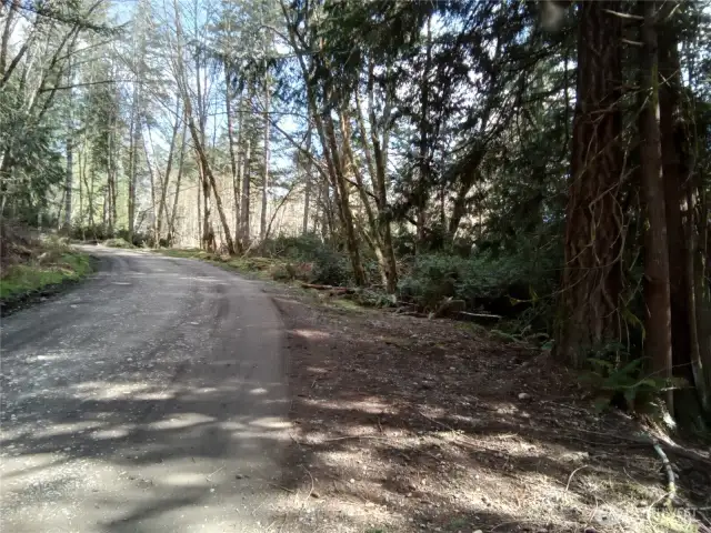 View from E Frontier Rd looking back up to E Murray Rd N
