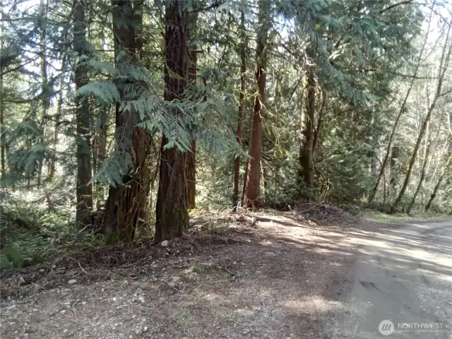 View from E Frontier Rd looking down the road