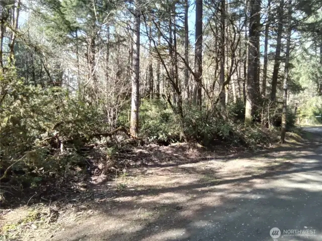 View from E Murray Rd N looking toward the property corner at E Frontier Rd