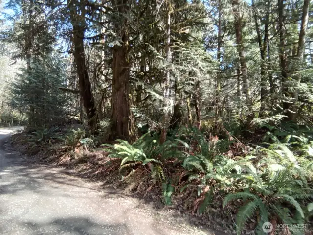 View from E Frontier Rd looking at corner toward E Murray Rd N