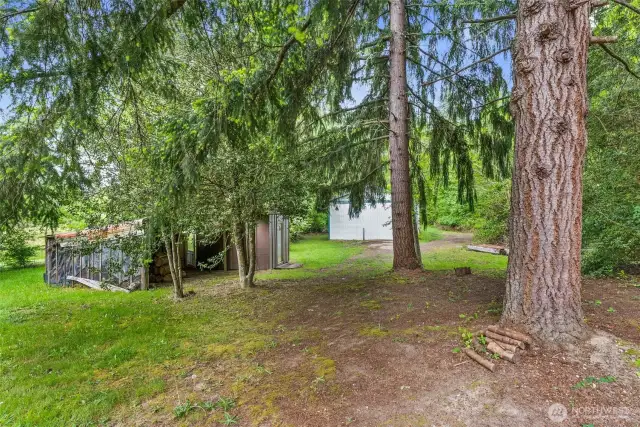 Walk from the house to a 1800 sq. ft. barn on the west side of the property.