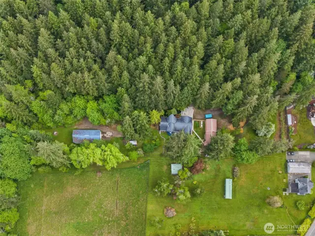 Left: Property line at west is about 10 feet into the shrub line behind the barn. Right: A line of manicured blackberries boarder the eastern line of the property.