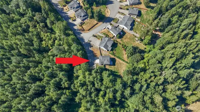 The house is located at the end of the road, surrounded by forest.