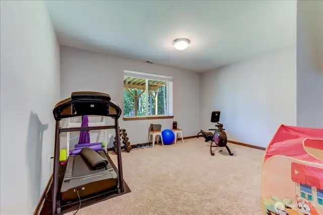 Lower-level flex space w/closet. Currently used for a workout room.