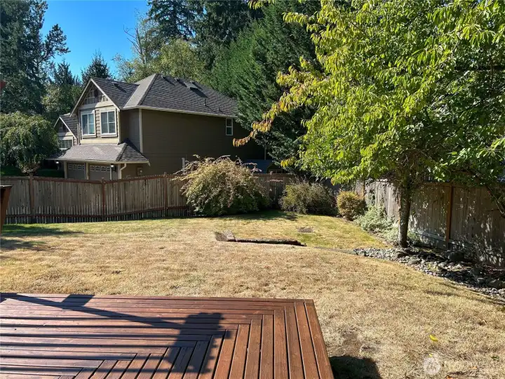 Backyard