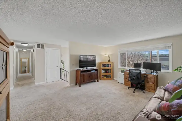 Livingroom, entry stairs and hall