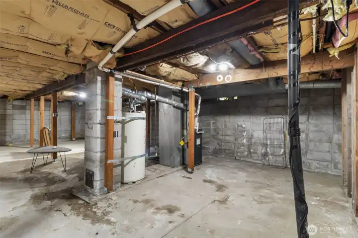 Utility area in basement houses furnace and hot water tank.