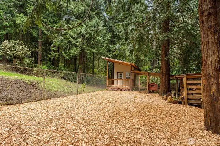 Backyard Detached studio and chicken coop
