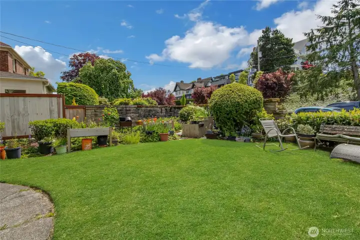 Side Yard