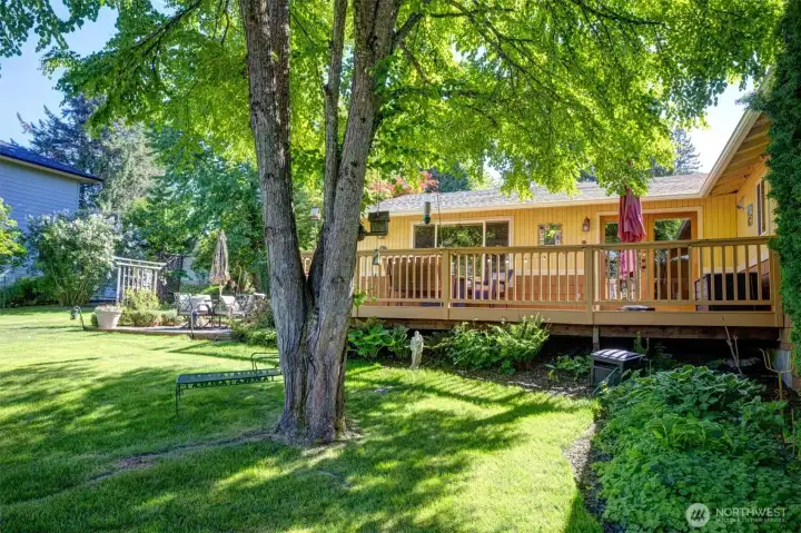 View from the side yard