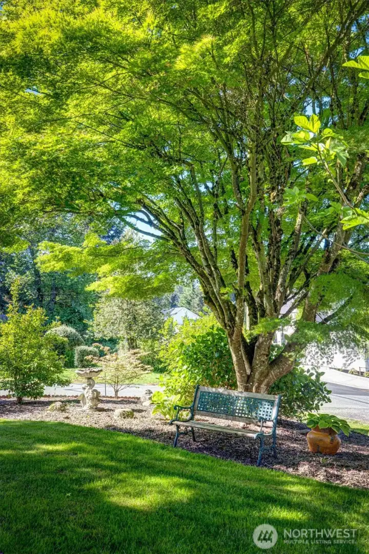 A backyard filled with tranquility and peace