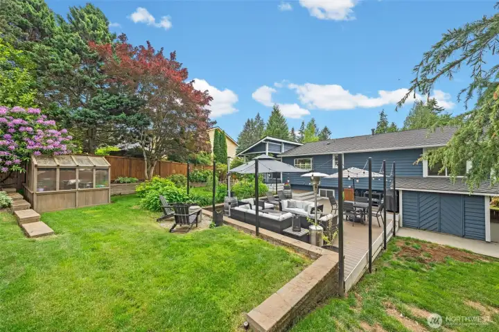 Back yard