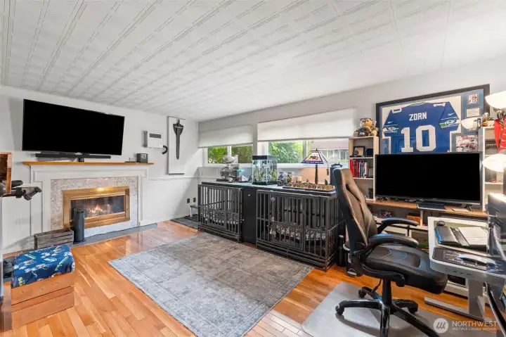 downstairs bonus room